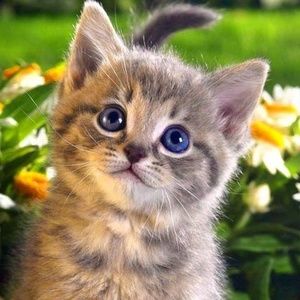 Meet your Posher, Colleen